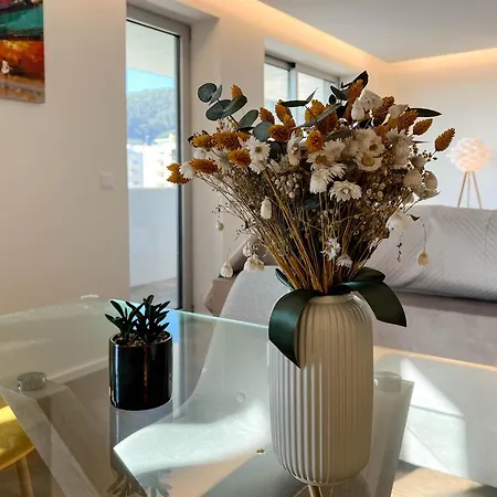 Apartamento Viana Urban Glamour *